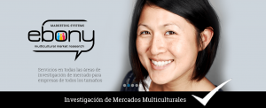 Ebony Marketing Systems: Investigación de Mercados Multiculturales