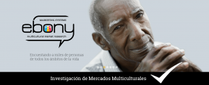 Ebony Marketing Systems: Investigación de Mercados Multiculturales
